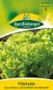 Quedlinburger Pflücksalat Lollo bionda - Gemüsesamen