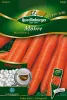 Quedlinburger Pille Möhre Nantaise 2 - Gemüsesamen