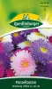 Quedlinburger Prinzeßastern Mischung - Blumensamen