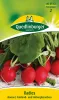 Quedlinburger Radies Rodos - Gemüsesamen