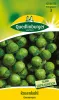 Quedlinburger Rosenkohl Groninger - Gemüsesamen