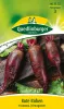Quedlinburger Rote Rüben Cylindra - Gemüsesamen