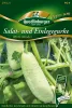 Quedlinburger Salat-u. Einlegegurke White Wonder - Gemüsesamen