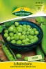 Quedlinburger Schalerbsen Kleine Rheinländerin - Gemüsesamen