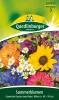 Quedlinburger Sommerblumen Schmücke Garten und Heim - Blumensamen