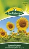 Quedlinburger Sonnenblumen Einfache Riesen - Blumensamen