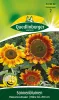 Quedlinburger Sonnenblumen Herbstschönheit - Blumensamen