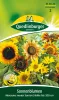 Quedlinburger Sonnenblumen Mischung hoher Sorten - Blumensamen