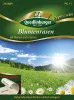 Quedlinburger ST Blumenrasen - Premium Blumensamen