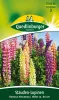 Quedlinburger Stauden-Lupinen Russels Mischung - Blumensamen