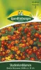 Quedlinburger Studentenblumen Bonita Mischung - Blumensamen