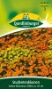 Quedlinburger Studentenblumen Zwerg-Mischung - Blumensamen