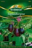 Quedlinburger Topfaubergine Patio Baby - Gemüsesamen