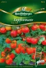 Quedlinburger Topftomate Tiny Tim - Gemüsesamen