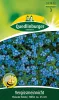 Quedlinburger Vergissmeinnicht Blauer Korb - Blumensamen