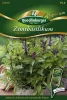 Quedlinburger Zimtbasilikum Cinnamon - Premium Kräutersamen