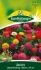 Quedlinburger Zinnien Lilliput Mischung - Blumensamen