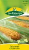 Quedlinburger Zuckermais Elan - Gemüsesamen