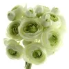 Ranunkel Blütenbündel Grün & Weiß 27 cm 6er Bund - Kunstblumen