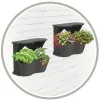 Romberg BoQube Flexi Garden Anthrazit 26 x 20 x 26 cm - 2er Pack