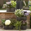Romberg BoQube Flexi Garden Anthrazit 26 x 20 x 26 cm - 2er Pack