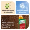 ROUNDUP® Express Konzentrat Unkrautfrei für bis zu 500 m² - 400 ml