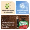 ROUNDUP® Express unkrautfrei Drucksprühgerät anwendungsfertig - 2,5 Liter