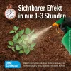 ROUNDUP® Express unkrautfrei Drucksprühgerät anwendungsfertig - 2,5 Liter