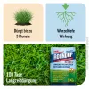 ROUNDUP® RASEN-UNKRAUTFREI Granulat mit Rasendünger für je ca. 450 m² - 9 kg x 2