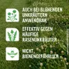 ROUNDUP® Rasen - Unkrautfrei Konzentrat 250 ml für ca. 165 m²