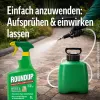 ROUNDUP® Wege & Terrassen-Spray AF anwendungsfertig - 1 Liter