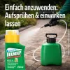 ROUNDUP® Wege und Terrassen Konzentrat für bis zu 138 m² - 250 ml