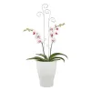 Scheurich Orchideentopf 608 Panna - Ø 10,1 cm, Höhe 13 cm