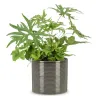 Scheurich Übertopf 828 Glass Grey - Ø 10 cm, Höhe 9,1 cm