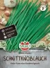 Schnitt-Knoblauch SPERLIs Knolau - Kräutersamen