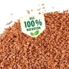 SERAMIS Pflanzgranulat für Beet-, Balkon- & Kübelpflanzen 6 Liter