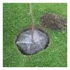 Siena Garden Wühlmauskorb verzinkt - Ø 35 cm