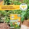 Solabiol® Bio Grundstoff Natriumhydrogencarbonat für bis zu 100 Liter - 350 Gramm