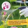Solabiol® Chabasit Schädlingsbarriere für 80 Liter Spritzbrühe - 400 g