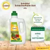 Solabiol® Schachtelhalm Sud für pilzanfällige Pflanzen Konzentrat - 1 Liter