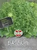 Sperli Basilikum SPERLI´s Balkonstar - Kräutersamen