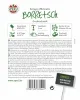 Sperli Borretsch Gurkenkraut - Kräutersamen