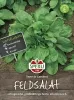 Sperli Feldsalat Verte De Cambrai / Jupiter / Dunkelgrüner Vollherziger 2 - Gemüsesamen