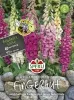 Sperli Fingerhut SPERLI´s Mervita Mischung - Blumensamen