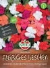 Sperli Fleissiges Lieschen Leuchtfeuer - Blumensamen