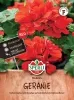 Sperli Geranien - Pelargonien Madeira rot stehend - Blumensamen