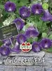 Sperli Glockenreben Violette Schönheit - Blumensamen