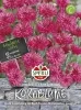 Sperli Kornblumen SPERLI´s Rote Lola - Blumensamen