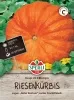 Sperli Kürbis Rouge vif dEtampes - Gemüsesamen
