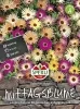 Sperli Mittagsblumen Rabattenstolz - Blumensamen